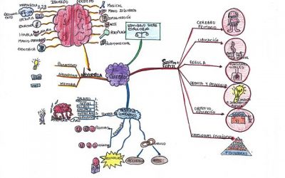 El mapa mental, una técnica de estudio muy eficaz